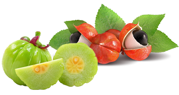 Guarana és Garcinia Cambogia